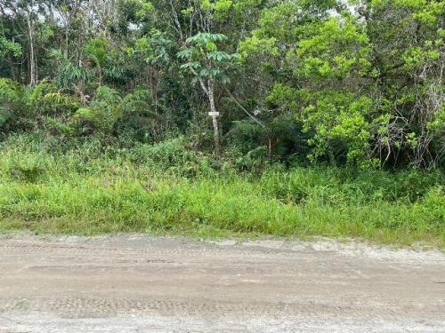 Terreno De Chácara De 1200 Metros Em Itanhaém Sp - 7506 Npc