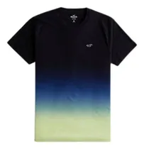 Comprar Camiseta Hollister Masculina Manga Curta Ombre Preta Cores M