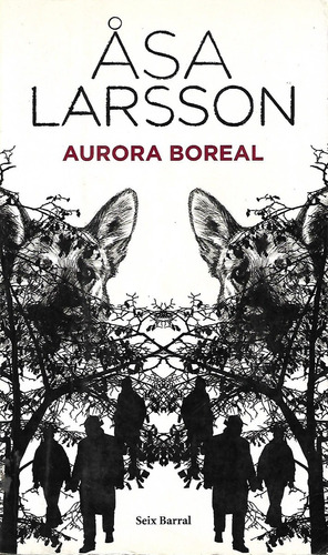 Aurora Boreal Asa Larsson   