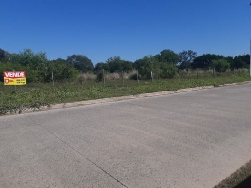 Imagen 8 de 9 de Terrenazos En Autovía Chaco-corrientes!!