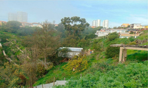 Región Valparaiso (73811)