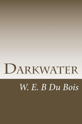 Libro Darkwater : Voices From Within The Veil - W E Burgh...