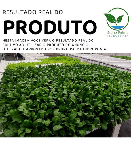 Imagem 2 de 4 de Adubo Completo Para Hidroponia 5000 Litros - Rúcula