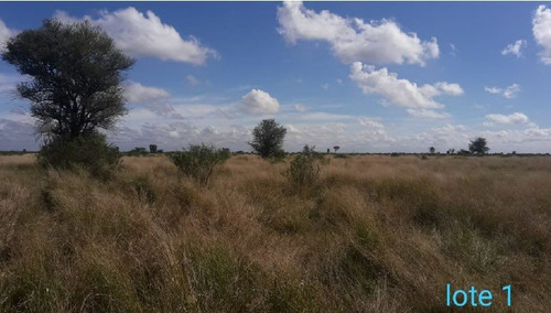 Imagen 3 de 4 de Campo Ganadero Establecimiento La Angelita