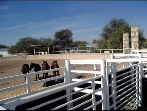 Excelente Rancho En Venta En Aguascalientes Con Lienzo A 10