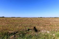 Imagen 4 de 6 de Vendo Campo 30ha/ Bermúdez (pdo. De Lincoln)