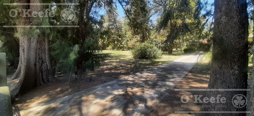 Imagen 12 de 20 de Quinta En Venta En Abasto 4180 Mts. Con Muy Buena Forestación