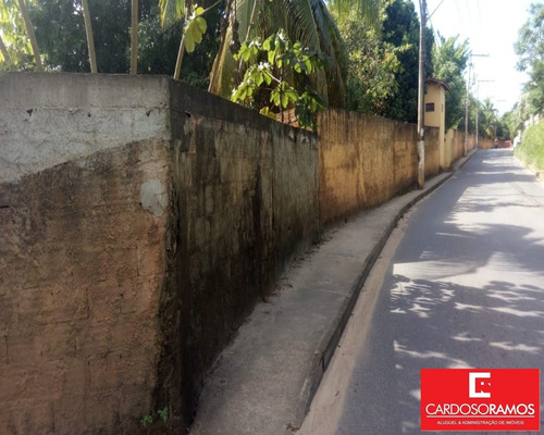 Imagem 8 de 12 de Terreno - Te00101 - 34058162