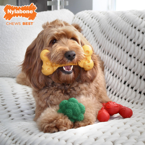 Pacote De Brinquedo Para Cães Nylabone Power Chew Com Lagost