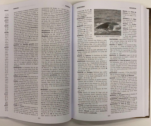 Enciclopedia Biblica Boyer, Orlando Boyer, Estudio