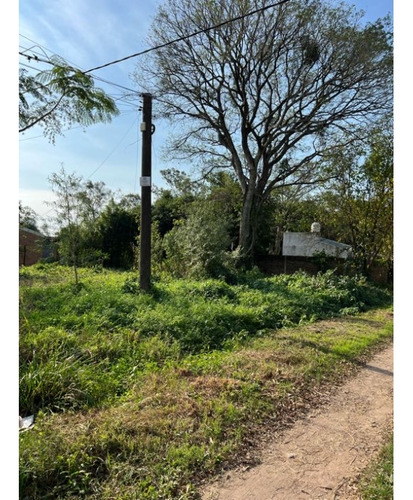 Esquina Arbolada Barrio Los Pinos
