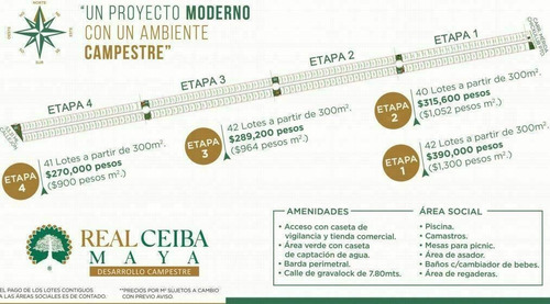Imagen 5 de 6 de Lotes Urbanizados Real Ceiba Maya