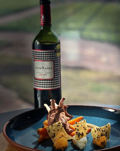 Imagen 2 de 10 de Vino Diamandes De Uco Malbec Caja X 6 X 750ml. --
