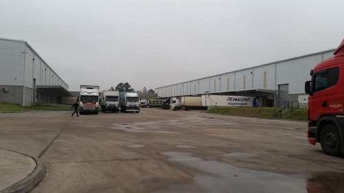 Imagen 3 de 21 de Alquiler Depósito 6.000 M2 - Tortuguitas