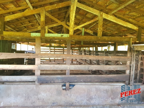 Chácaras_sítios_fazendas Para Venda - 13650.5197