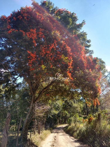Imagem 23 de 27 de Sítio À Venda Em Itatiaiuçu Bairro Pingo De Ouro - Si0066