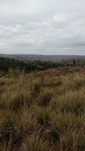 Imagen 3 de 12 de Preventa Financiado Tierras Del Cacique Yan Lotes 1200 M2 Villa Yacanto De Calamuchita - Córdoba