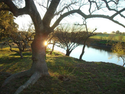 Chacra Sobre El Rio En Barrio Privado. Retasada !!!