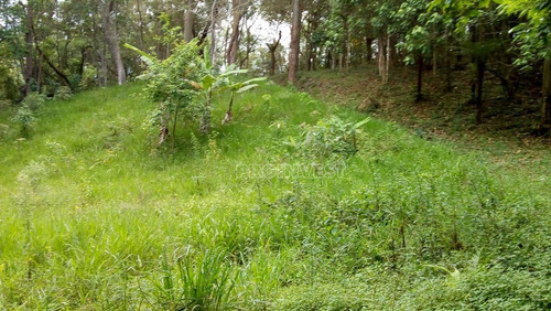 Imagem 7 de 16 de Terreno À Venda, 8000 M² Por R$ 1.200.000,00 - Capuava - Embu Das Artes/sp - Te8770