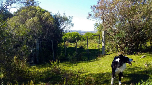 Campo 35 Hás Sierras De Caracé Maldonado Ideal Viñas-olivos