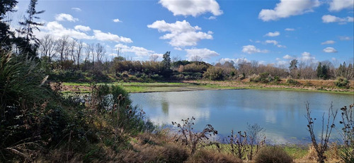 Venta Chacra 28 Ha Abayuba Arroyo Y 2 Tajamares C.rigel