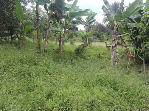 Imagen 7 de 10 de Venta Finca En Génova, Quindío
