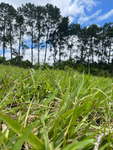 Imagem 3 de 24 de M01- Oportunidade De Ter Sua Casa No Campo