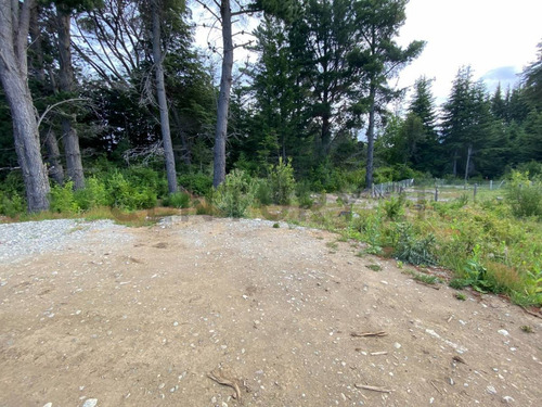Imagen 11 de 14 de Lote En Venta - Bariloche - Avenida Bustillo Km 21 - Id: 60514