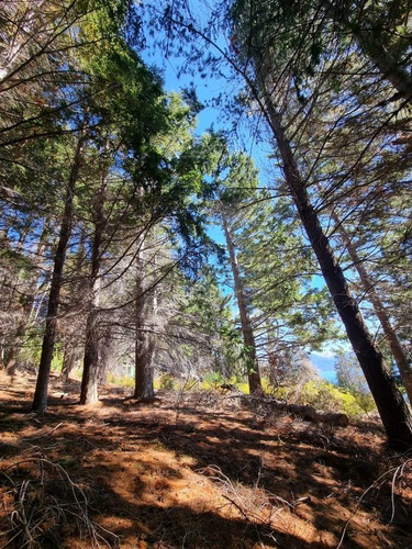 Imagen 10 de 29 de Terreno Lote En Venta Ubicado En Villa Campanario, Bariloche, Patagonia