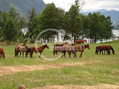 Ug Sitio Con Vista A Lago Colico
