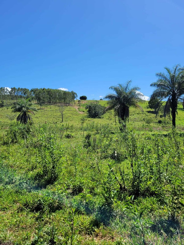 Imagem 12 de 30 de Chácara Em Centro, Martinho Campos/mg De 750m² 1 Quartos À Venda Por R$ 60.000,00 - Ch2330369-s
