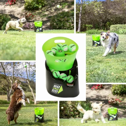 Godoggo g4 fetch machine online