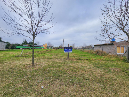 Terreno En Punta Chacra Roldan, Sobre Av. Principal