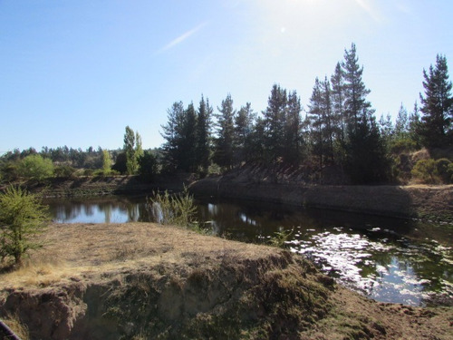 Imagen 4 de 23 de Campo En Cauquenes, Tres Estanques Acumuladores, 97 Has