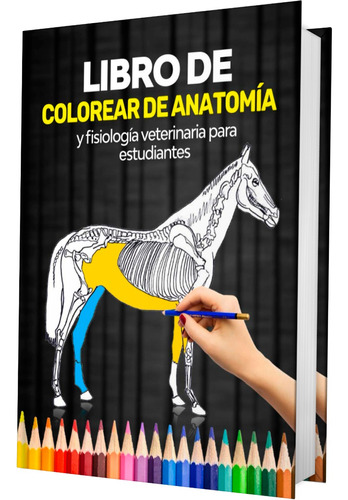 Libro De Colorear De Anatomía Veterinaria