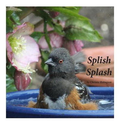 Libro Splish Splash - Holmgren, Christie