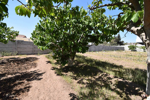 Venta, Terreno En La Serena.