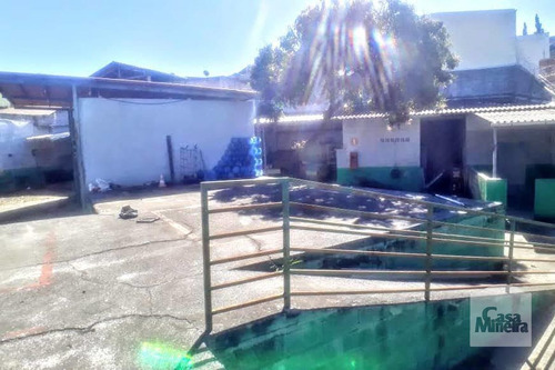 Imagem 9 de 11 de Lote À Venda No Santa Cruz - Código 266550 - 266550