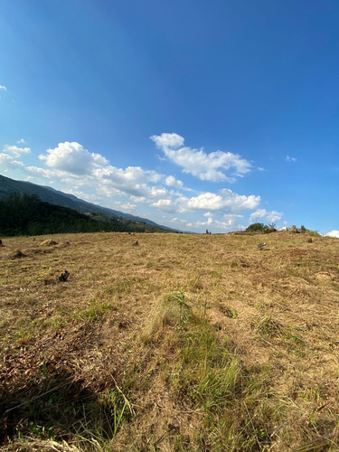 Imagem 3 de 18 de R8- Parcelamos Em 60x Sem Juros Seu Terreno Agende Sua Visita