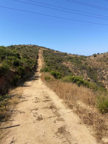Parcelas 5.000mt, Alto Los Laureles,limache (96233)