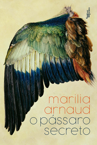 O pássaro secreto, de Arnaud, Marilia. Editora José Olympio Ltda., capa mole em português, 2021