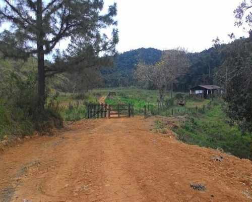 Imagem 22 de 30 de Fazenda - 0195 - 32820324