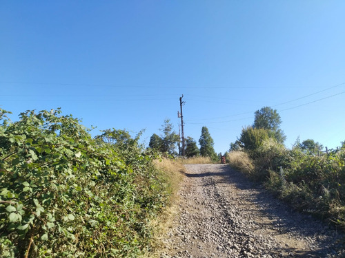 Parcela De 5000mtrs2, Sector Chucauco, Camino Vrca - Freire