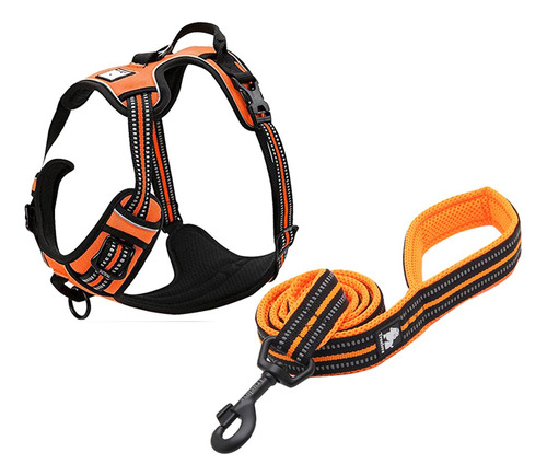 Creacin Core Reflective Set No-pull Arns Del Perro Y La Form