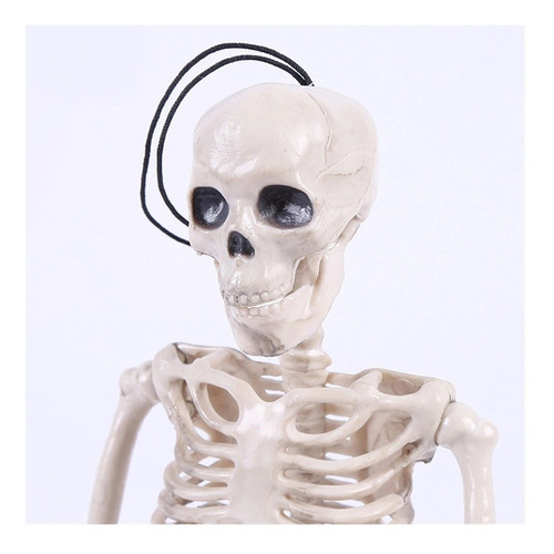 Esqueleto Humano Calavera 38cm