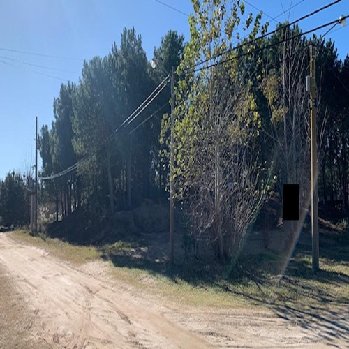 Imagen 4 de 9 de V099 - Lote De 1.000 Mts. San Bernardo Sale!