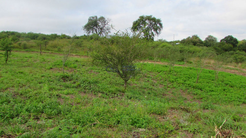 Lotes En Venta - Amboy - Calamuchita - Cordoba