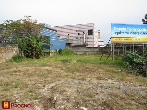 Terreno Comercial Excelente No Estreito! - 22983