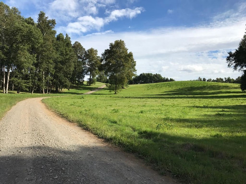 Agrícola En Venta En Pitrufquén