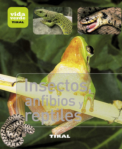 Insectos, Anfibios Y Reptiles Jean-jacques Bignon